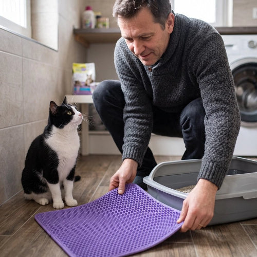 tapis litière chat violet maitre chat debout buanderie
