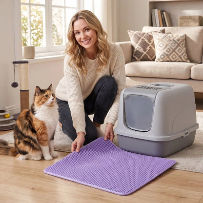 tapis litière chat violet maitresse chat debout salon