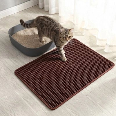 tapis litière pour chat marron chat sortant litiere salon
