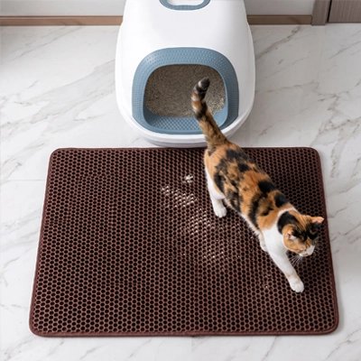 tapis litière pour chat marron chat sortant salon
