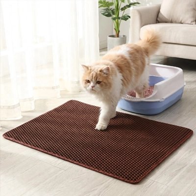 tapis litière pour chat marron chat sortant
