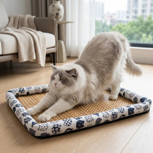 tapis rafraichissant chat blanc motifs felin chat apaise salon
