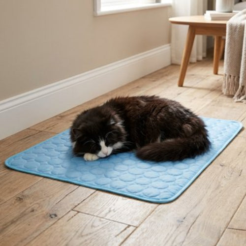 tapis rafraichissant chat bleu matelasse chat dormant salon