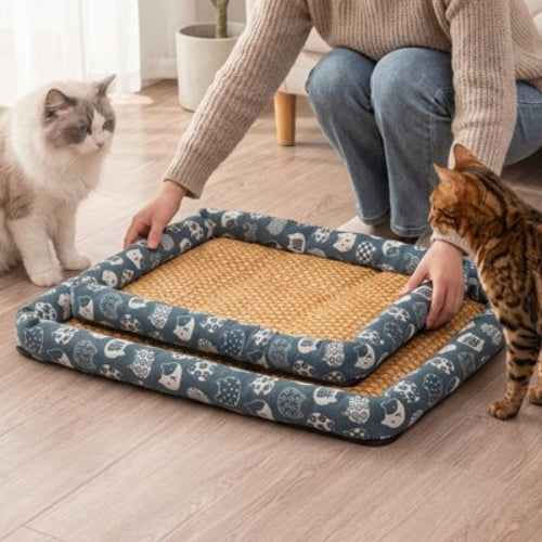 tapis rafraichissant chat bleu motifs felin maitresse chat debout