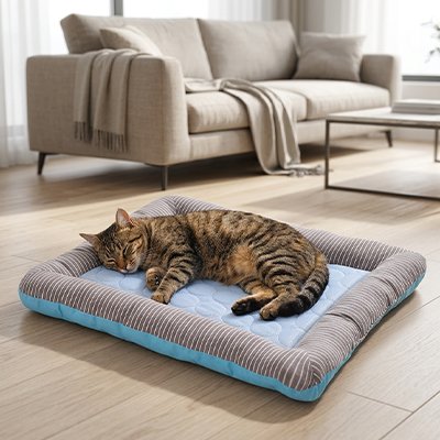 tapis rafraichissant chat bords sureleves bleu chat dormant salon