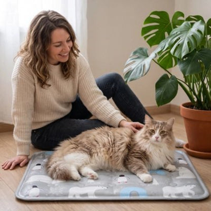 tapis rafraichissant chat gris clair maitresse chat allonge salon