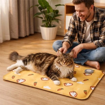 tapis rafraichissant chat jaune vif chat allonge maitre