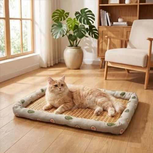 tapis rafraichissant chat motifs avocat chat allonge salon