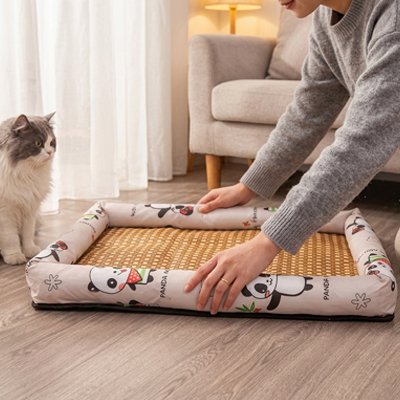 tapis rafraichissant chat motifs panda maitresse chat debout salon