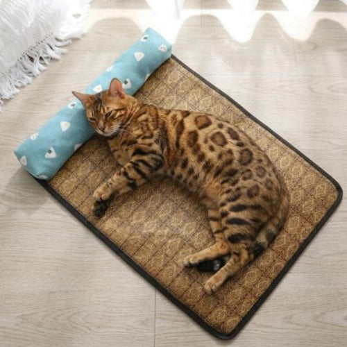 tapis rafraichissant chat oreiller bleu ciel chat allonge