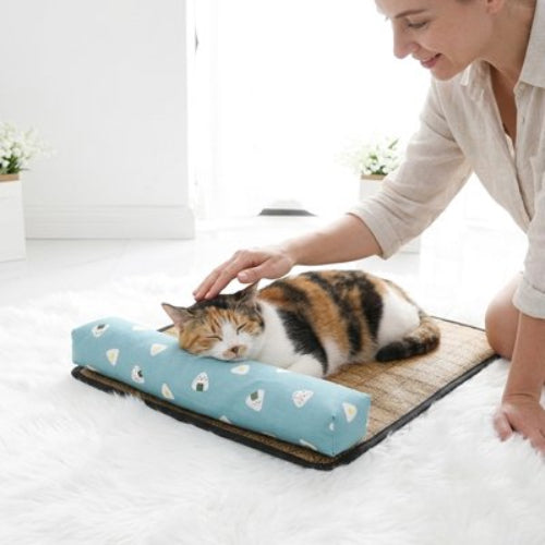 tapis rafraichissant chat oreiller bleu ciel maitresse chat dormant
