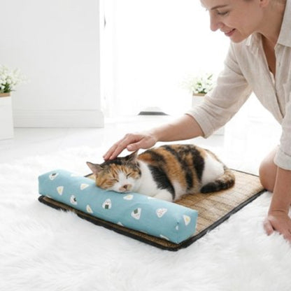 tapis rafraichissant chat oreiller bleu ciel maitresse chat dormant