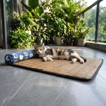 tapis rafraichissant chat oreiller motifs felins bleu chat allonge
