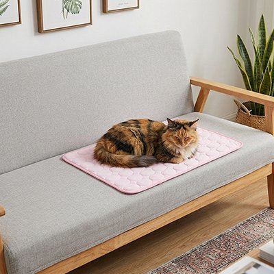 tapis rafraichissant chat rose chat dormant canape