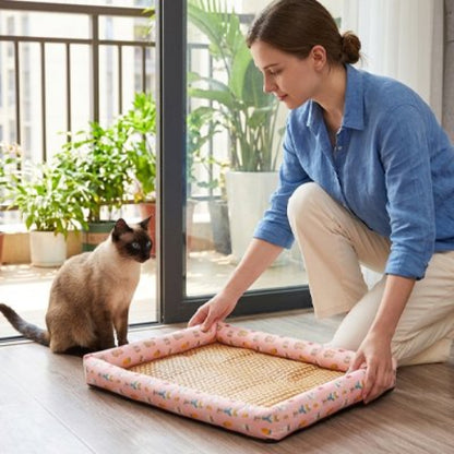 tapis rafraichissant chat rose motifs lapin maitresse chat debout