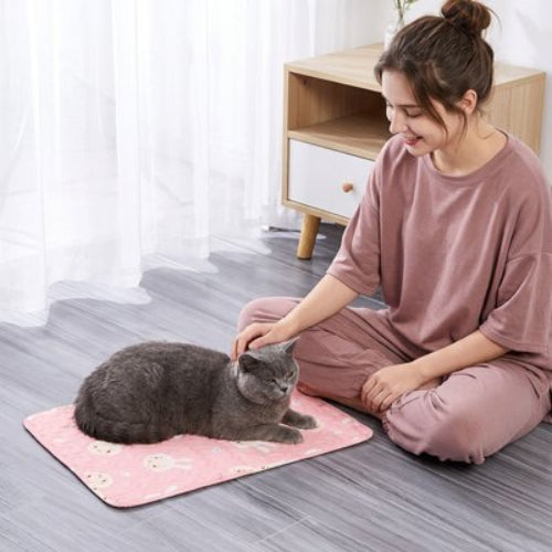 tapis rafraichissant chat rose motifs ludiques maitresse chat allonge