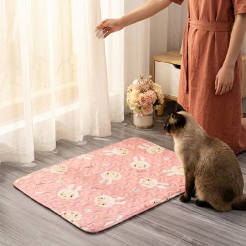 tapis rafraichissant chat rose motifs ludiques maitresse chat debout