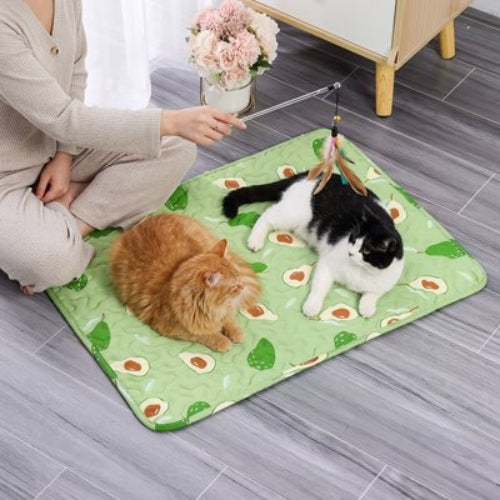 tapis rafraichissant chat vert motifs ludiques maitresse chats jouants