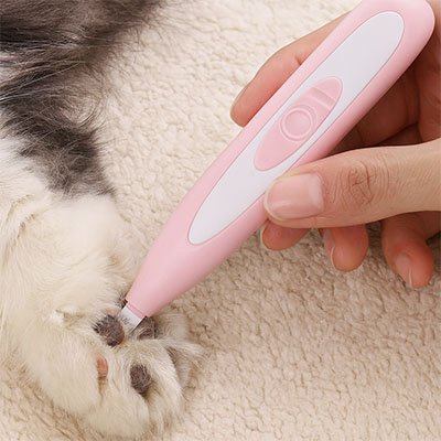 tondeuse chat bicolore rose blanc patte chat