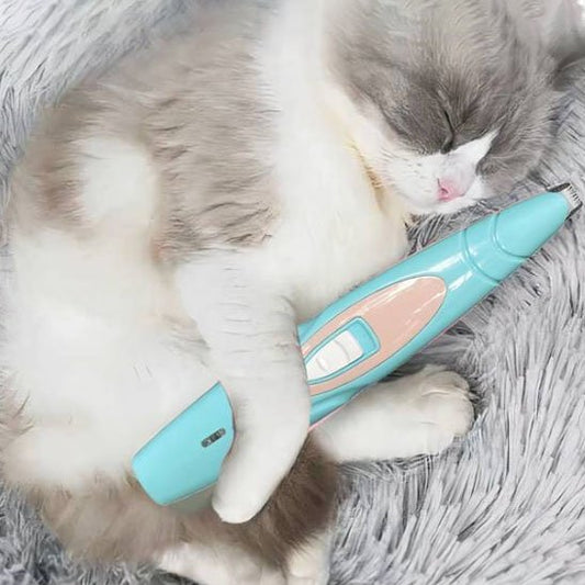 tondeuse pour chat confortable bleu chat