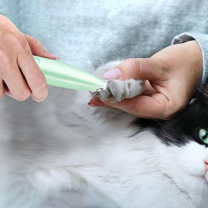 tondeuse pour chat confortable vert chat coussinets