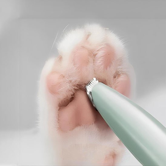 tondeuse pour chat confortable vert coussinets chat