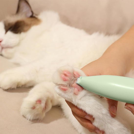 tondeuse pour chat confortable vert patte chat allonge
