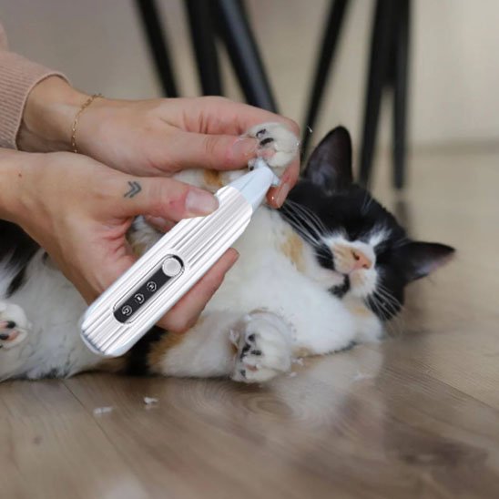 tondeuse pour chat etanche chat allonge