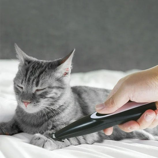 tondeuse pour chat noir ergonomique chat allonge