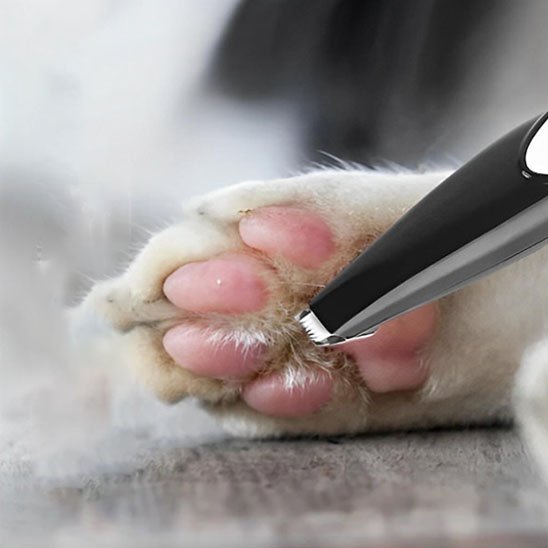 tondeuse pour chat noir ergonomique coussinets