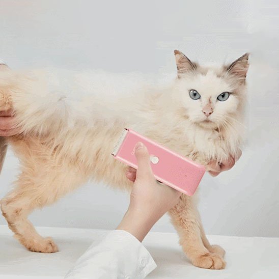 tondeuse pour chat pratique rose chat