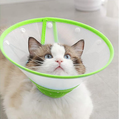 transparente collerette chat vert