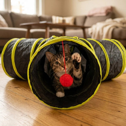 tunnel chat bandes jaunes chat jouant