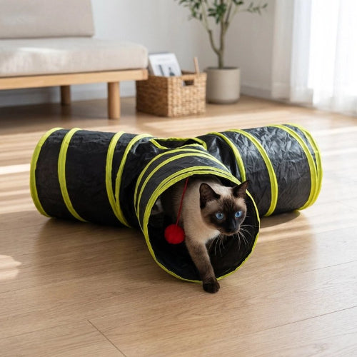 tunnel chat bandes jaunes chat sortant salon
