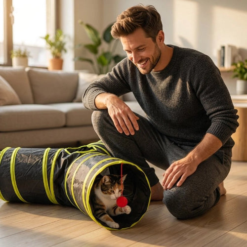 tunnel chat bandes jaunes maitre chat jouant