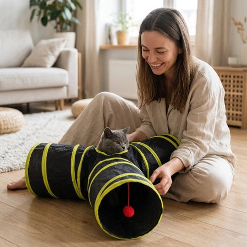 tunnel chat bandes jaunes maitresse avec chat