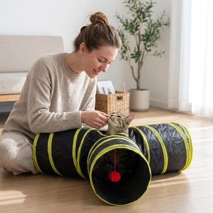 tunnel chat bandes jaunes maitresse chat apaise