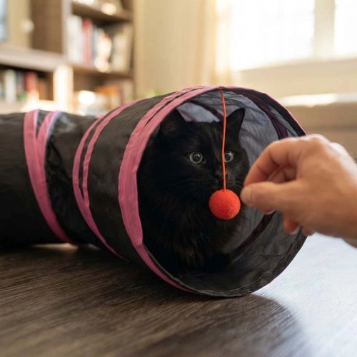 tunnel chat bandes roses chat allonge