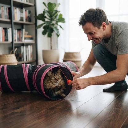 tunnel chat bandes roses maitre chat jouant