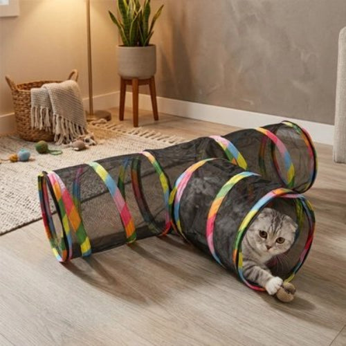 tunnel chat design en t chat jouant