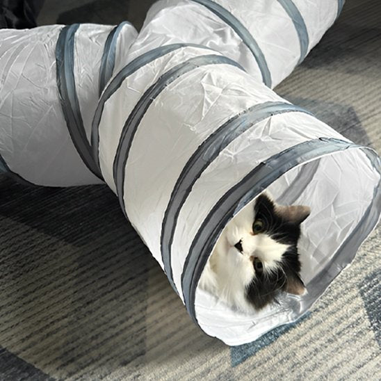tunnel chat gris transparent avec chat allonge