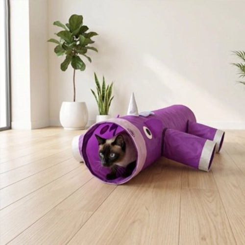 tunnel chat licorne avec chat