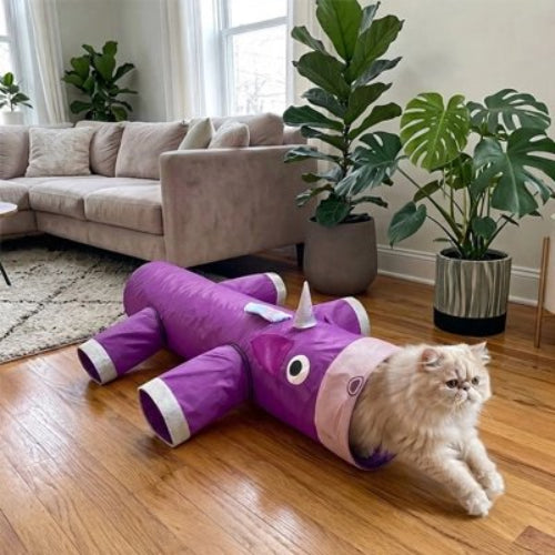tunnel chat licorne chat sortant