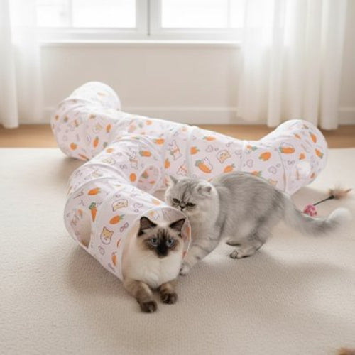 tunnel chat motifs ludiques original avec chats