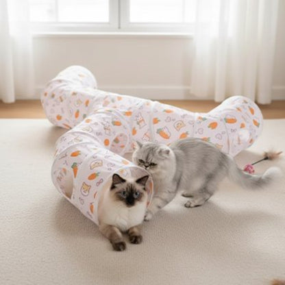 tunnel chat motifs ludiques original avec chats