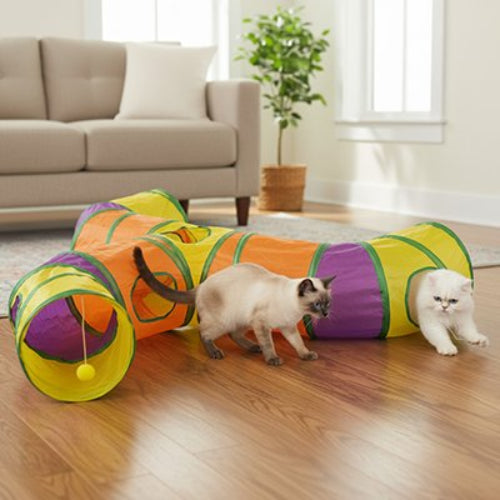 tunnel chat multicolore avec chats