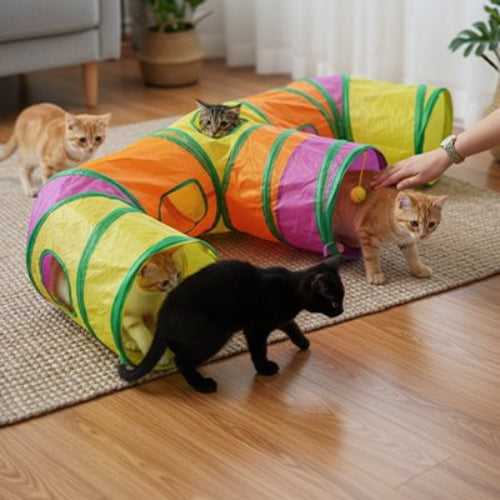 tunnel chat multicolore en e chats jouant