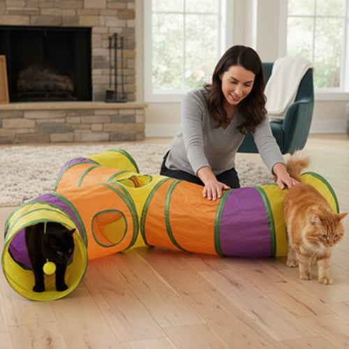tunnel chat multicolore maitresse avec chats