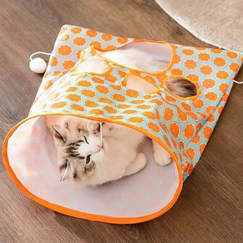 tunnel chat orange chat allonge