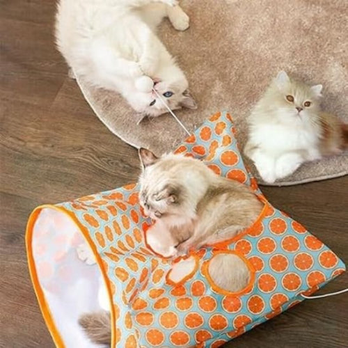 tunnel chat orange chats jouant